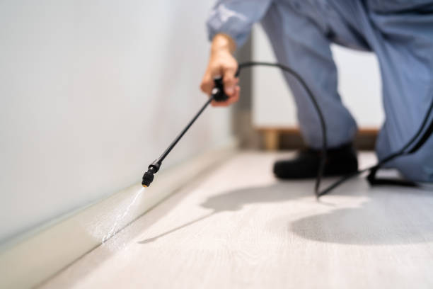 Licensed Cockroach Control service in Hamilton, TX - Nex Pest Control