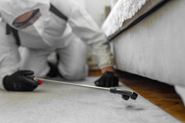 Professional Cockroach Control technician working in Hamilton, TX