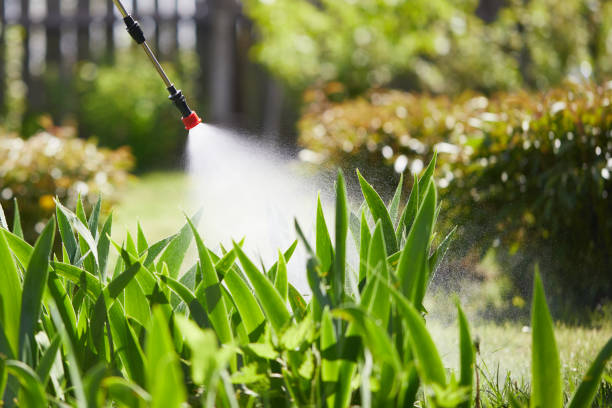 24/7 Emergency Cockroach Control experts in Hamilton, TX