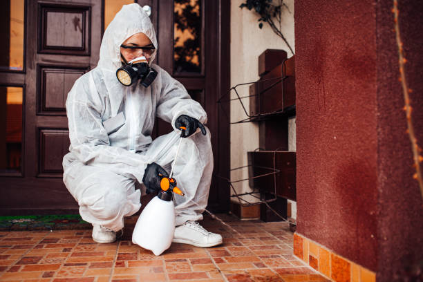 Reliable Cockroach Control contractor in Hamilton, TX by Nex Pest Control